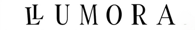 Translation missing: en.Lumora accessibility.home